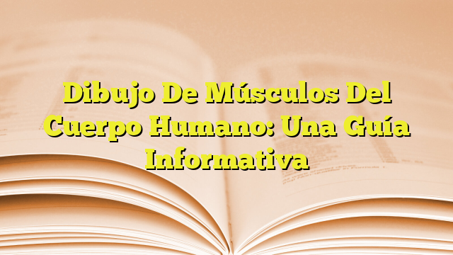 Dibujo De Músculos Del Cuerpo Humano Una Guía Informativa Imagenes