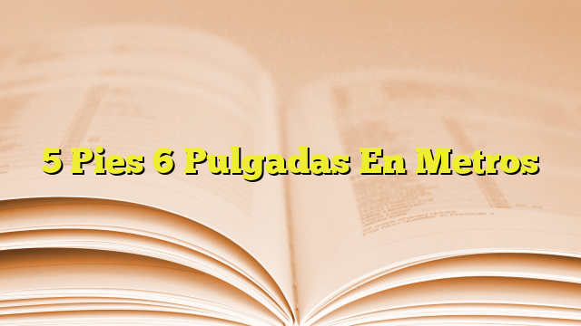 5-pies-6-pulgadas-en-metros-imagenes-graficos