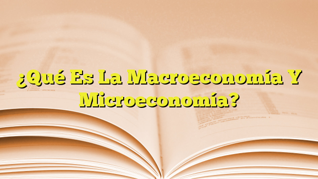 ¿Qué Es La Macroeconomía Y Microeconomía? | Imagenes Graficos