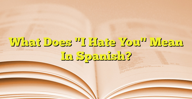 what-does-i-hate-you-mean-in-spanish-imagenes-graficos